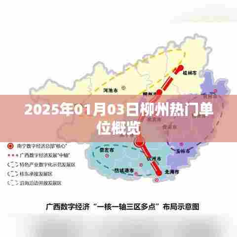 2025年柳州热门单位概览，职场风向标