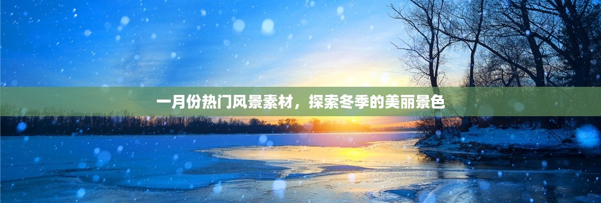 鸟语花香 第3页