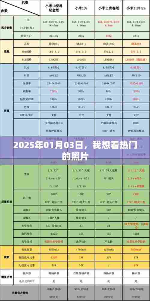 『2025年热门照片一览,不容错过』