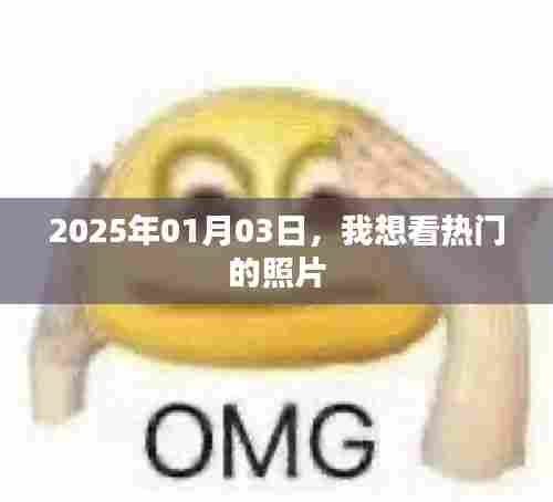 『2025年热门照片一览,不容错过』