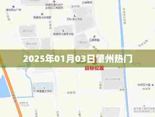 肇州最新热门资讯,2025年1月3日动态