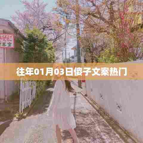 傻子文案热门回顾,历年精选佳作