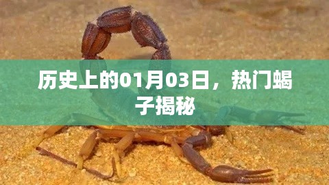 攀高接贵 第2页