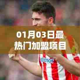 热门加盟项目排行榜出炉,最新加盟好项目推荐