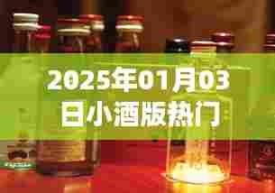 2025年小酒版热门风采