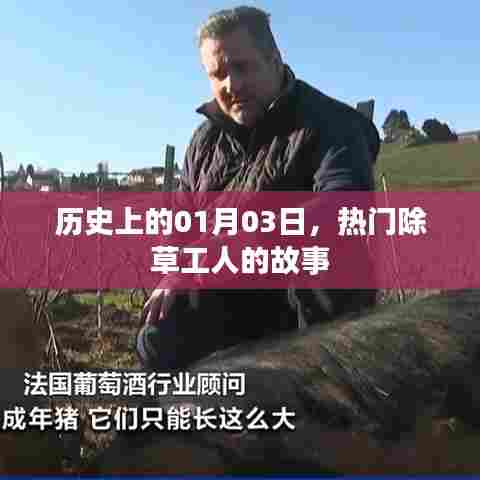 热门除草工人的故事,历史篇——一月三日记事