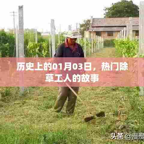 热门除草工人的故事,历史篇——一月三日记事