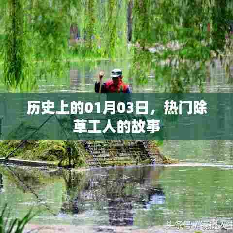 热门除草工人的故事,历史篇——一月三日记事