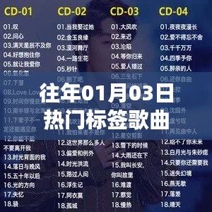 精选往年元旦后热门标签歌曲回顾