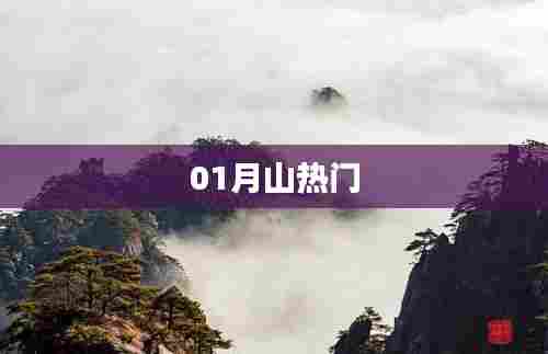 01月山热门事件盘点