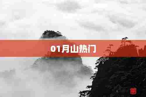 01月山热门事件盘点