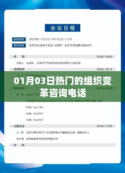 组织变革咨询热线,把握变革脉搏,专业解答您的疑惑