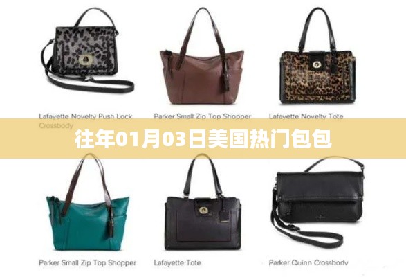 美国热门包包盘点,历年1月3日时尚潮流回顾