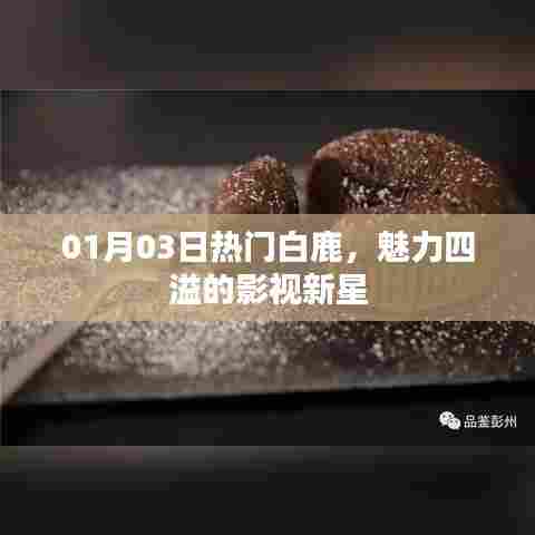 白鹿，影视新星魅力闪耀，01月03日备受瞩目