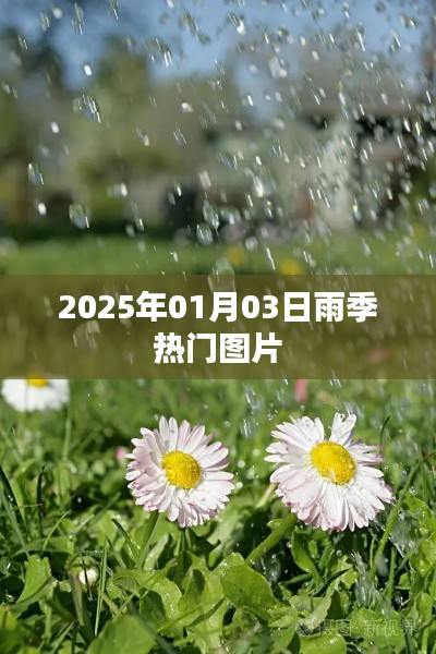 『2025年雨季热门图片欣赏』