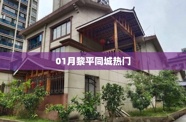 惨淡经营 第3页