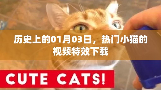 热门小猫视频特效下载，历史日期揭秘