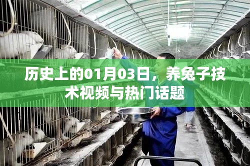 鸷鸟不群 第3页