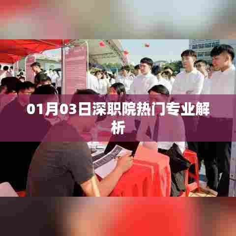 深职院热门专业深度解析，01月最新解读