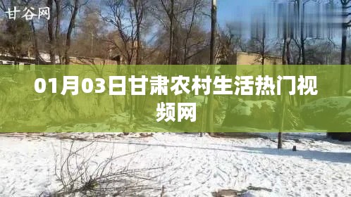 甘肃农村生活热门视频网最新动态