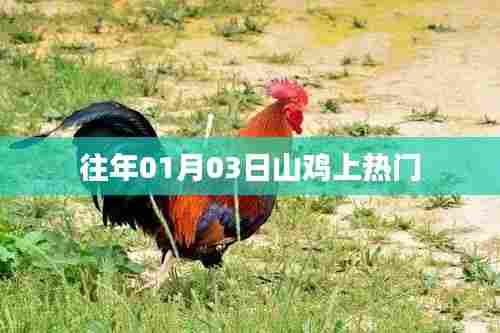 山鸡成为热门话题,时间回溯至往年一月三日