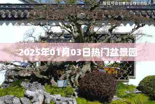 盆景园热门景点之旅,探访2025年元旦盆景盛宴