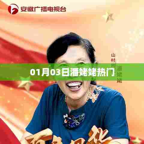 潘姥姥热门事件回顾，揭秘背后的故事