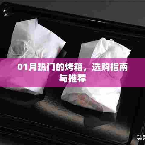 1月热门烤箱选购攻略，指南与推荐