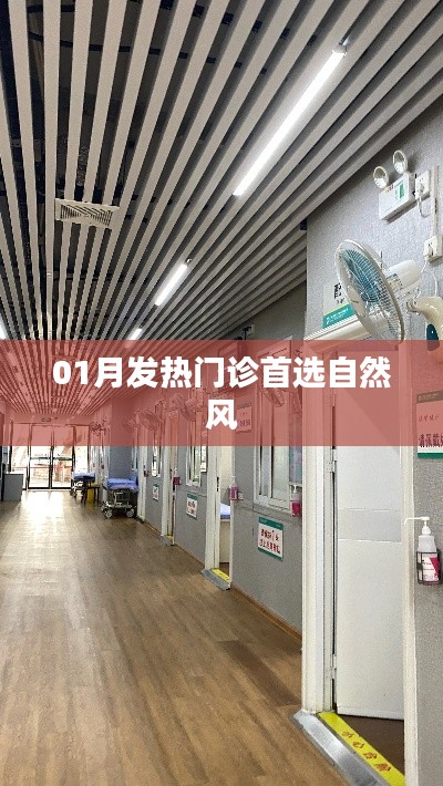 自然风助力发热门诊,健康首选