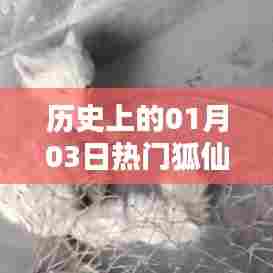 热门狐仙历史揭秘,一月三日的重要时刻