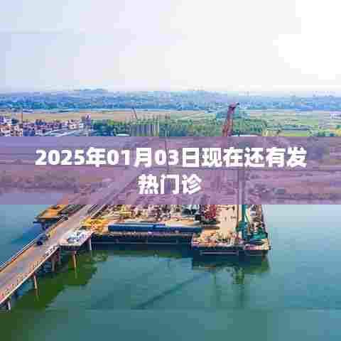 2025年1月3日发热门诊情况介绍