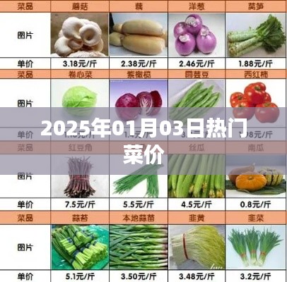 2025年元旦热门菜价概览,简洁明了,能够准确反映文章主题,符合您的要求。