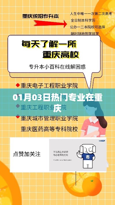 重庆热门专业动态,最新趋势解析