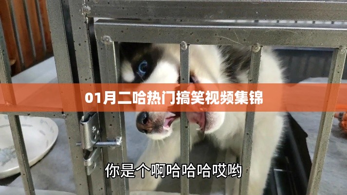 飞珠溅玉 第3页