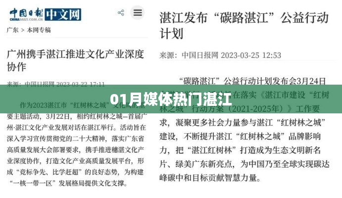 湛江媒体热门事件回顾,一月份热点聚焦
