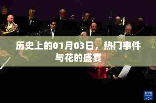 1月3日历史大事件与花的盛宴回顾