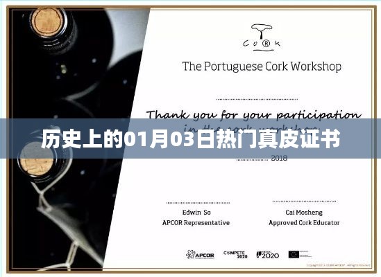 历史上的热门真皮证书，一月三日回顾与解析