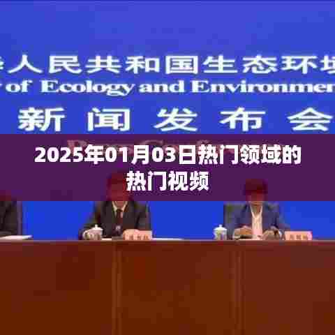 热门领域视频风向标，2025年元旦热门视频盘点
