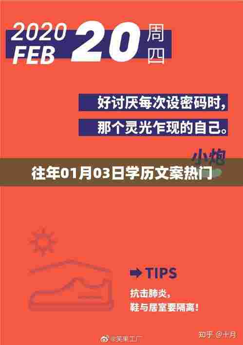 历年学历文案热点解析