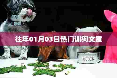 精选热门驯狗文章,从入门到进阶的秘籍