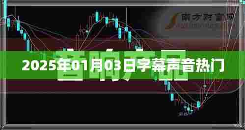 2025年1月3日热门字幕声音解析