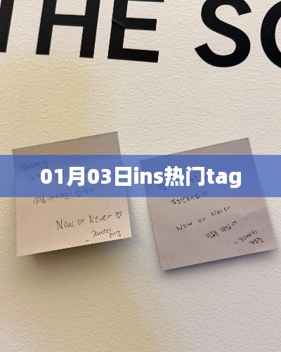 最新Ins热门标签大揭秘,01月03日流行趋势