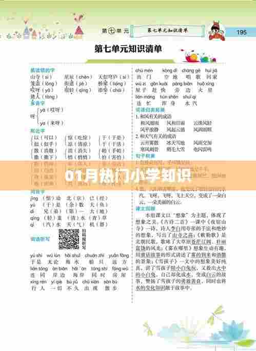 小学一月热门知识点解析