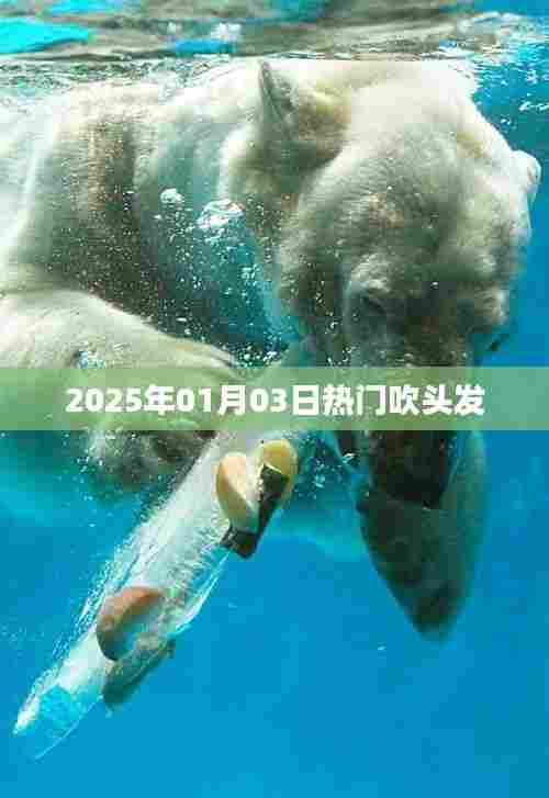 吹风机界的热门风潮，2025年最新吹头发技巧