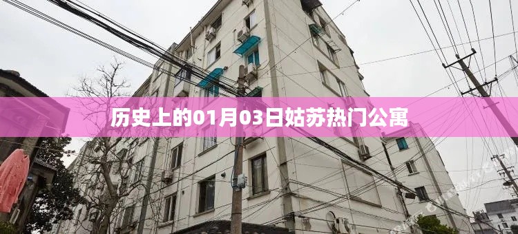 姑苏热门公寓历史日期揭秘，一月三日回顾