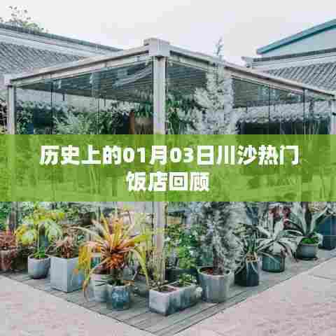 川沙热门饭店历史回顾，一月三日印记