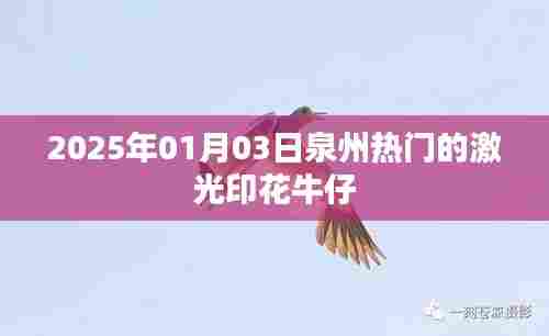 激光印花牛仔在泉州的热门时尚潮流到2025年展望