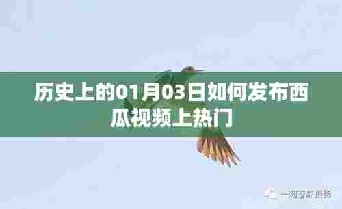 西瓜视频发布策略，如何把握一月三日上热门机会？