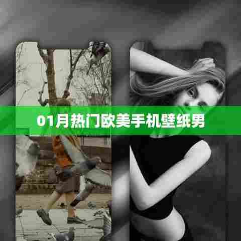 欧美手机壁纸男，一月精选流行款