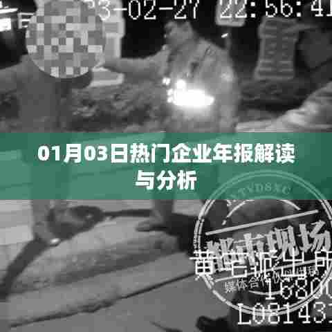 热门企业年报解读与分析,洞悉企业发展趋势